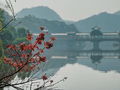 -深圳龙潭公园