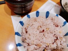 糙米饭-胜博殿日式炸猪排(悠唐店)