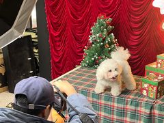 -佛山京华广场MALL