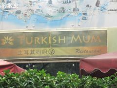 Turkish mum-土耳其妈妈