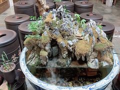 -普洱茶府(博乐广场店)