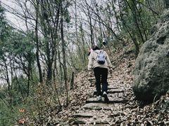 -五凤溪古镇
