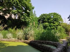 -成都市活水公园