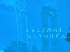 -南昌融创海世界