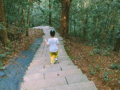 -杭州黄龙洞