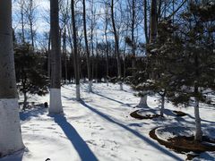 -永定河休闲森林公园