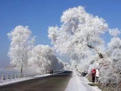 -雾凇岛