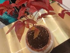 -四川省人民医院(本部)