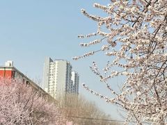 -北京丽景湾国际酒店