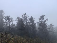 -东钱湖旅游度假区