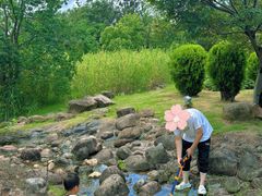 -白塘生态植物园