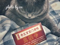 -老北京前门烤鸭(北中路99店)