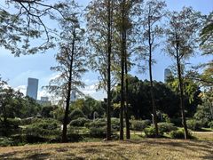 -人民公园(罗湖区)