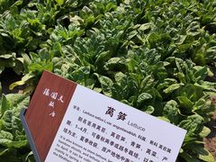 -张闻天故居