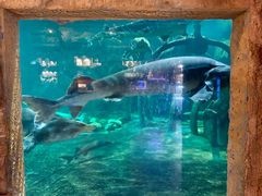 -华夏文旅海洋公园