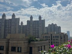 -保利·西岸