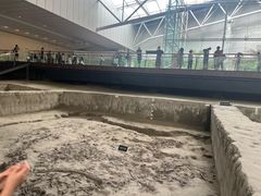-金沙遗址博物馆