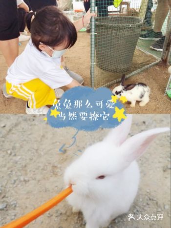 敲敲小黑板：在这里游玩一整天无压力哦！