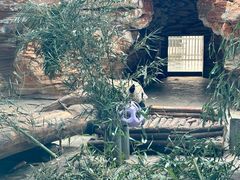 -石家庄市动物园