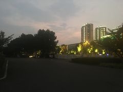 -南京奥林匹克体育中心-体育馆