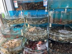 -仙螺岛海鲜自助餐厅(总店)