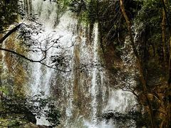-大鄣山卧龙谷景区