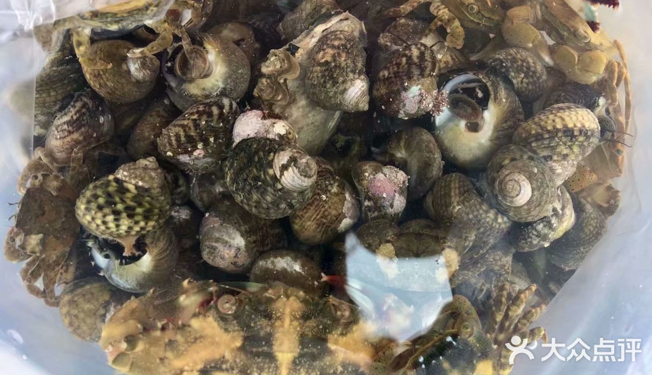 瓦房店大排石赶海