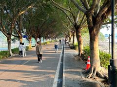 -风云岭森林公园