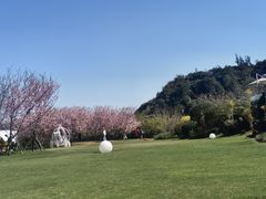 -福建鲤鱼洲酒店