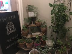 -1901 Cafe(西四店)