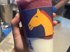 -春丽小马(济南恒隆广场店)