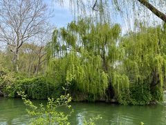 -济南大明湖景区