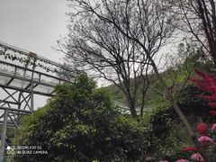 -木兰云雾山