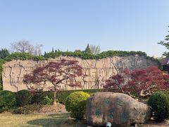 -嘉定紫藤园