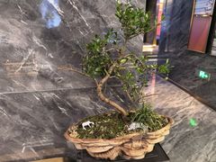 -华夏良子·足道SPA养生(上海崮山路明悦店)