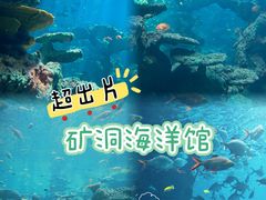 -长鹿旅游休博园