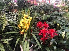 -秦美花卉(天朗·莱茵小城2期店)