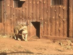 -昆明动物园