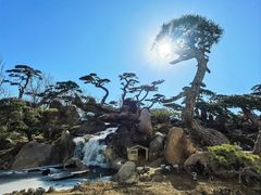 -罗红摄影艺术馆