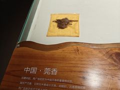 -香市公园-中国沉香文化博物馆