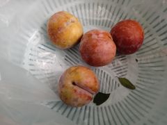 -三元里农贸市场