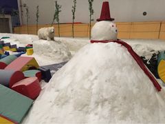 -绍兴启迪乔波冰雪世界