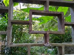 -秋霞圃