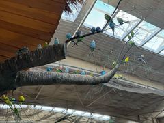 -南宫五洲植物乐园