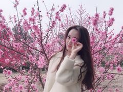 -秀丽东方