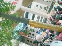 -三亚新鸿港水果一级批发市场