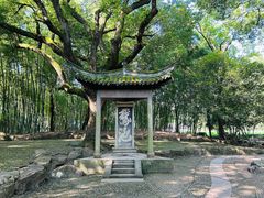 -兰亭风景区