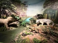 -湖南省地质博物馆