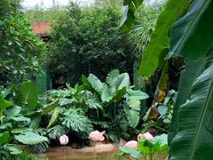 -海南热带野生动植物园