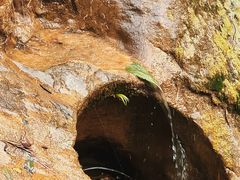 -华蓥山天意谷景区